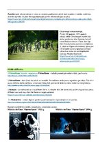 Konspekts 'Kultūras mantojuma saglabāšanas veidi', 4.