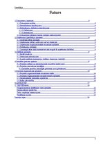 Referāts 'Sistēmas izstrādes plāns', 3.