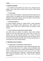 Referāts 'Sistēmas izstrādes plāns', 9.