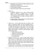 Referāts 'Sistēmas izstrādes plāns', 12.