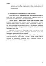 Referāts 'Sistēmas izstrādes plāns', 13.