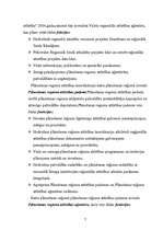 Referāts 'Latvijas reģionālā attīstība', 7.