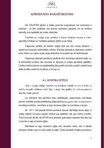 Biznesa plāns 'Biznesa plāns jaunuzņēmumam', 7.