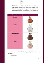 Biznesa plāns 'Biznesa plāns jaunuzņēmumam', 9.