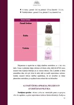 Biznesa plāns 'Biznesa plāns jaunuzņēmumam', 10.