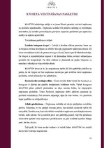 Biznesa plāns 'Biznesa plāns jaunuzņēmumam', 19.