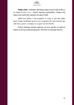 Biznesa plāns 'Biznesa plāns jaunuzņēmumam', 20.