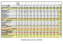 Biznesa plāns 'Biznesa plāns jaunuzņēmumam', 22.