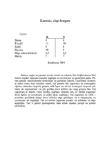 Prakses atskaite 'Prakses atskaite ātrās ēdināšanas restorānā "McDonald's"', 8.