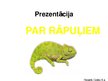 Prezentācija 'Prezentācija par rāpuļiem', 1.