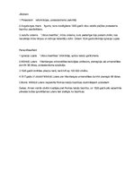 Eseja 'Reformācijas nozīme Eiropas kultūrā', 2.