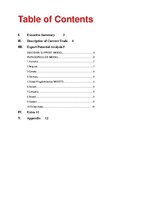 Konspekts 'Export Marketing Plan - Beer Exports', 2.