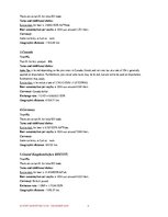 Konspekts 'Export Marketing Plan - Beer Exports', 8.