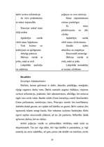 Referāts 'Personas psihloģiskais raksturojums', 26.