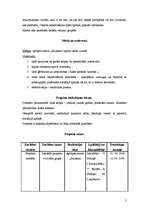 Biznesa plāns 'Projekta vadība', 3.