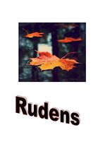 Eseja 'Pārdomas par rudeni', 1.