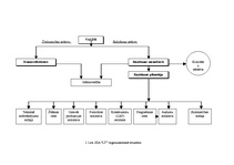 Prakses atskaite 'Prakses atskaite SIA "LT"', 6.