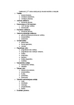 Prakses atskaite 'Prakses atskaite SIA "LT"', 7.