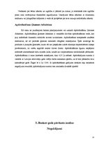 Prakses atskaite 'Prakses atskaite', 13.