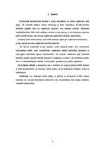 Referāts 'Norēķini ar kreditoriem - piegādātājiem, uzskaite un analīze tirdzniecības uzņēm', 3.