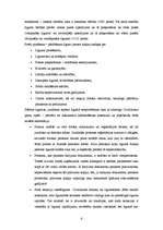 Referāts 'Norēķini ar kreditoriem - piegādātājiem, uzskaite un analīze tirdzniecības uzņēm', 6.