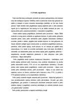 Referāts 'Norēķini ar kreditoriem - piegādātājiem, uzskaite un analīze tirdzniecības uzņēm', 17.