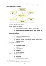 Referāts 'SIA "Dona" finansiālo rādītāju analīze', 11.