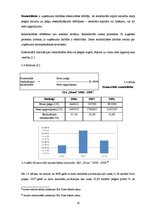 Referāts 'SIA "Dona" finansiālo rādītāju analīze', 16.
