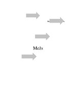 Referāts 'Meža ekosistēma', 1.