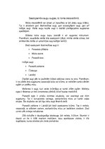 Referāts 'Meža ekosistēma', 4.