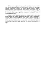 Eseja 'Vienaudžu savstarpējo attiecību un laikmeta raksturojums J.Ābeles filmā un J.Joņ', 2.