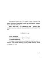 Referāts 'Piena dziedzeru audzēji kaķiem', 7.