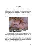 Referāts 'Piena dziedzeru audzēji kaķiem', 10.