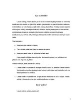 Referāts 'Nodokļu sistēma un politika Latvijā', 5.