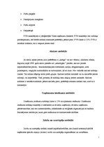 Referāts 'Nodokļu sistēma un politika Latvijā', 7.