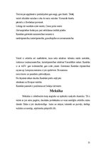 Referāts 'Ziemeļamerika', 25.