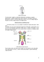 Referāts 'Dzinēju veidi, to efektivitātes un ekonomijas salīdzinājums', 8.