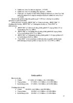 Referāts 'Dzinēju veidi, to efektivitātes un ekonomijas salīdzinājums', 17.