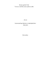 Referāts 'Dzeramnauda Rīgas kafejnīcās un to ietekmējošie faktori', 1.