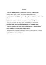 Referāts 'Materiālo vērtību krājumi, to ietekme uz uzņēmējdarbības rezultātiem', 1.