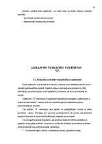 Referāts 'Materiālo vērtību krājumi, to ietekme uz uzņēmējdarbības rezultātiem', 19.