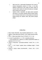 Referāts 'Materiālo vērtību krājumi, to ietekme uz uzņēmējdarbības rezultātiem', 28.