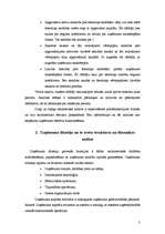 Referāts 'Uzņēmuma X kapitāla apjoma un struktūras analīze', 2.