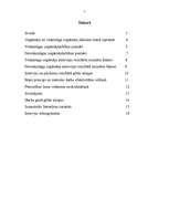 Referāts 'Veiksmīgas uzņēmējdarbības pamati', 2.