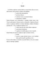 Referāts 'Veiksmīgas uzņēmējdarbības pamati', 3.