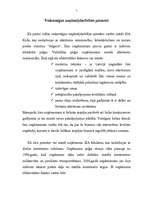 Referāts 'Veiksmīgas uzņēmējdarbības pamati', 5.