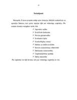 Referāts 'Veiksmīgas uzņēmējdarbības pamati', 13.