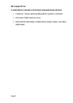 Referāts 'Организация проектной недели в 6 классе по истории', 9.