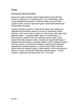 Referāts 'Организация проектной недели в 6 классе по истории', 19.