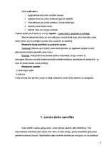 Referāts 'Jurista darbs Latvijā', 3.